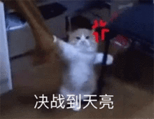 恭喜!2021初级会计考试成绩或将提前公布!真题回忆版已更新!-微信头条网 恭喜!2021初级会计考试成绩或将提前公布!真题回忆版已更新!