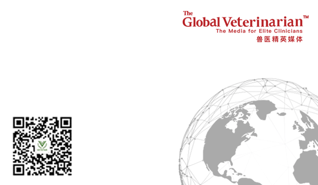 肠道吻合器是什么材质超级干货 ｜ 专家指导：胃肠吻合术使用线型吻合器的六大步骤_https://www.jmylbn.com_新闻资讯_第14张