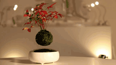 这房子,装了磁悬浮!一秒上天,让人类永不怕地震!