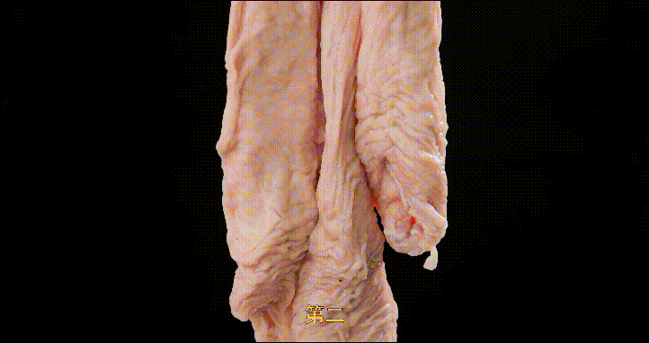 厨师长分享鲁菜：“九转大肠”，洗焯煮汆煸烧煨㸆，酸甜苦辣麻