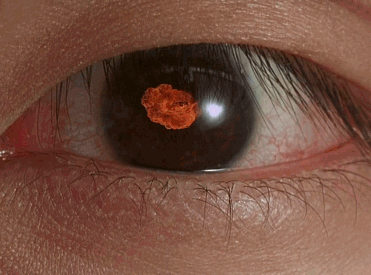 联通手机支付商城_联通手机商城app_联通商城支付手机券怎么用