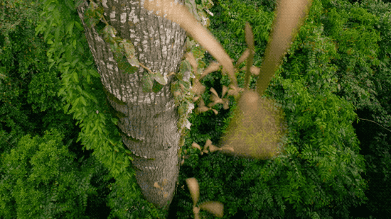 世界中的生存之道_世间生物生存_世界生存