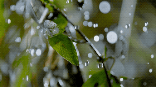 世间生物生存_世界生存_世界中的生存之道