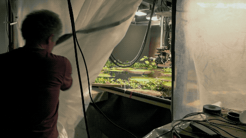 世界中的生存之道_世界生存_世间生物生存