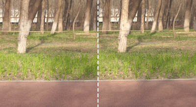 固定膝盖矫正器叫什么中国造民族「走跑姿矫正鞋」，告别膝盖痛…99元穿出千元品质_https://www.jmylbn.com_新闻资讯_第14张