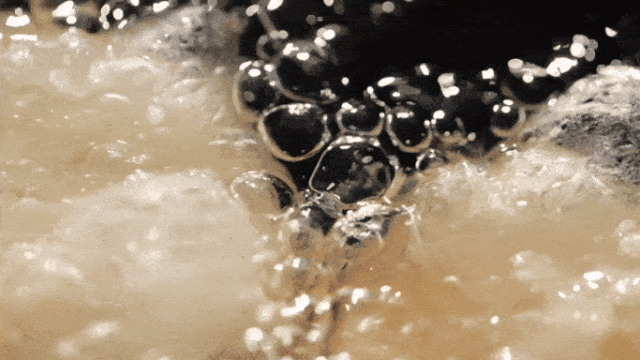 E5C732C970E15936E32EC2FFED01B350.gif