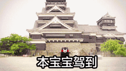 继熊本熊后 日本再现超人气新晋网红吉祥物 这花样作死的画风把无数网友都萌哭了 自由微信 Freewechat