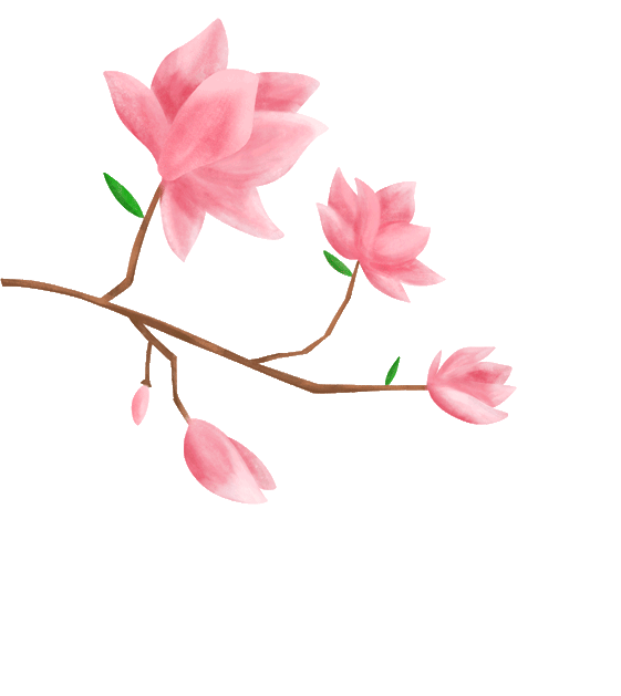 内镜清洗工作站是什么胃肠新“镜”界｜洞口县中医医院引进全新奥林巴斯170胃肠镜高配内镜清洗工作站_https://www.jmylbn.com_新闻资讯_第12张