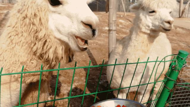 640_360gif 动态图 动图