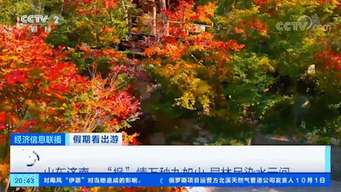 秋色连波  “枫”情万种，济南九如山邀您共赴一场秋之浪漫