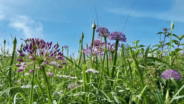 �Ͻھ²�ƺʢ�������ˣ����ι����ڴ�