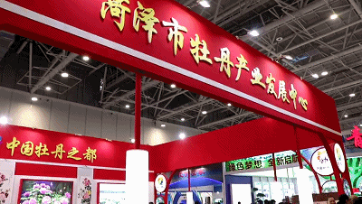 綠色夢想,全新啟航!麟源牡丹康普生物參展第十六屆中國林產品交易會
