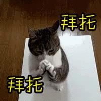 什么人在代孕?代孕的真实风险有多大?-微信头条网 什么人在代孕?代孕的真实风险有多大?