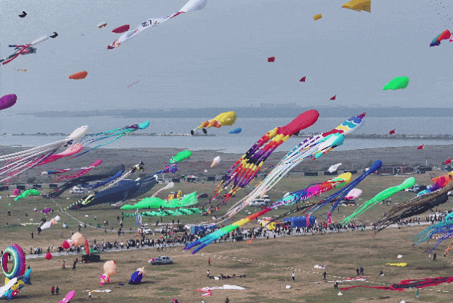 4月春假旅行榜｜挖到被低估的小城，春色比扬州更撩，钻进紫蓝色花海被治愈！