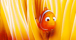 245_130gif 动态图 动图