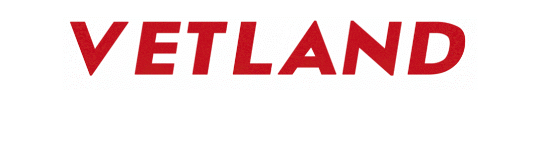 留置针怎么贴胶带【行业标准】TCVMA 70-2021犬猫外周静脉留置针操作技术规程，必看的医务规范！_https://www.jmylbn.com_新闻资讯_第1张