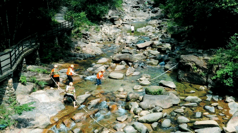 图/广州增城发布