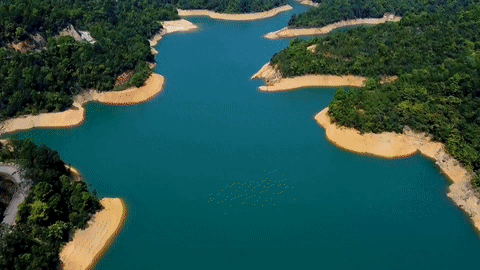 图/广州增城发布