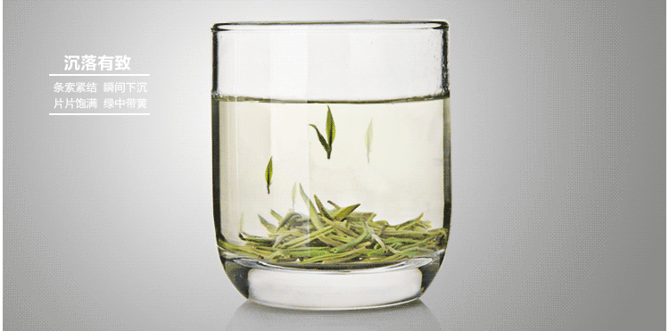 泡茶练习专题绿茶篇