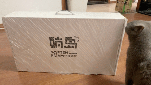 ��Ϊè��Ƥ�����Ҿ�Ȼ���˽�������һ