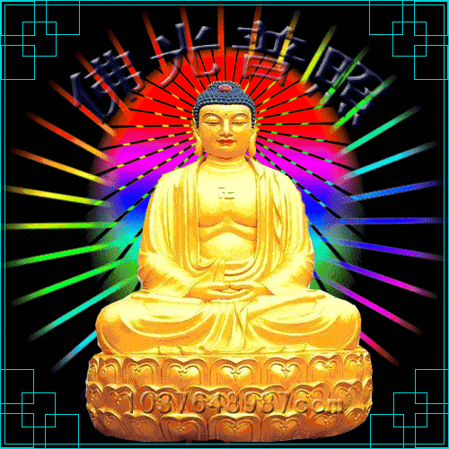 500_500gif 动态图 动图