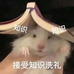 vloc线是哪里的敲黑板！这些高速标线再别认错！_https://www.jmylbn.com_新闻资讯_第5张