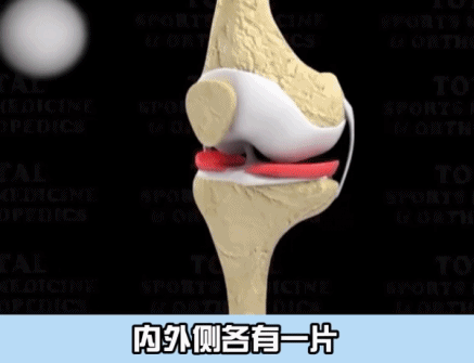 運動減肥_減肥運動量_減肥運動的最佳時間