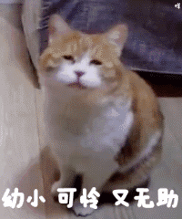 医院推车怎么固定我为群众办实事 ｜ “共享儿童推车”现身市人民医院啦，宝爸宝妈速来围观~_https://www.jmylbn.com_新闻资讯_第4张