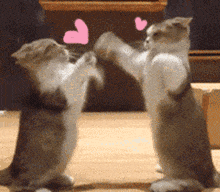 电脑磁盘怎么分类最好_电脑磁盘如何重新分盘_电脑磁盘的分区