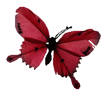 弘扬传统文化、诵读中华经典