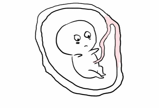 为什么剪脐带要先夹住为啥肚脐眼有凹有凸？真和医生剪脐带手法有关？事情没这么简单_https://www.jmylbn.com_新闻资讯_第3张