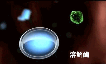 500+机构推荐!好易康8号降火牙膏,复旦大学生命科学院研发、独有生物溶菌酶,杀灭顽固细菌、实力降火,长期使用也不会产生抗药性! 500+机构推荐!好易康8号降火牙膏,复旦大学生命科学院研发、独有生物溶菌酶,杀灭顽固细菌、实力降火,长期使用也不会产生抗药性!