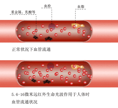 让老罗十分鸡动的智米石墨烯取暖器,新一代石墨烯取暖、远红外稳定辐射,如沐冬日暖阳;自然热循环对流、暖和又舒适;三重断电保护超安全 让老罗十分鸡动的智米石墨烯取暖器,新一代石墨烯取暖、远红外稳定辐射,如沐冬日暖阳;自然热循环对流、暖和又舒适;三重断电保护超安全