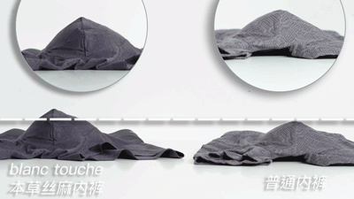 blanc touche丝麻蛋白抑菌护理裸感内裤,内裤病菌的终结者、抑菌率99%以上!拯救私处,善待下半身,从此干净清爽 blanc touche丝麻蛋白抑菌护理裸感内裤,内裤病菌的终结者、抑菌率99%以上!拯救私处,善待下半身,从此干净清爽