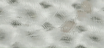 俏居发热毯/发热床垫,黑科技吸湿发热纤维,不插电,躺上就暖,30秒升温5℃,可机洗。2020年新款添加日本进口抑菌防螨帝人纤维 俏居发热毯/发热床垫,黑科技吸湿发热纤维,不插电,躺上就暖,30秒升温5℃,可机洗。2020年新款添加日本进口抑菌防螨帝人纤维