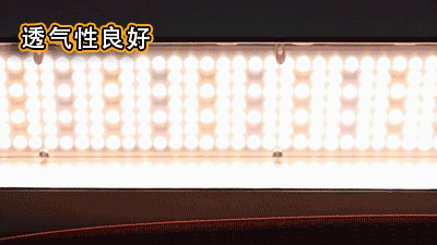 OLOEY内穿隐形矫姿带,自动矫正身姿,有效防止含胸、驼背、高低肩、脊柱侧弯等不良姿势,随时给人最佳形象、姿态优雅气质动人 OLOEY内穿隐形矫姿带,自动矫正身姿,有效防止含胸、驼背、高低肩、脊柱侧弯等不良姿势,随时给人最佳形象、姿态优雅气质动人