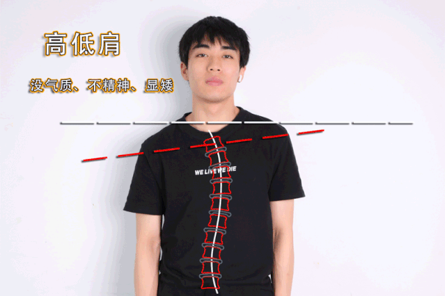 OLOEY内穿隐形矫姿带,自动矫正身姿,有效防止含胸、驼背、高低肩、脊柱侧弯等不良姿势,随时给人最佳形象、姿态优雅气质动人 OLOEY内穿隐形矫姿带,自动矫正身姿,有效防止含胸、驼背、高低肩、脊柱侧弯等不良姿势,随时给人最佳形象、姿态优雅气质动人