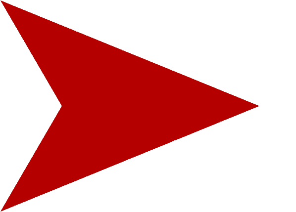 男子跨省偷20000斤冬瓜，在瓜地里被抓