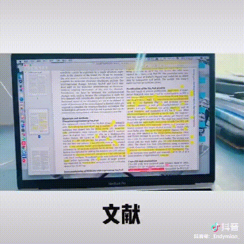 抖音里的梅姨是谁_梅庄人抖音_抖音梅子是谁