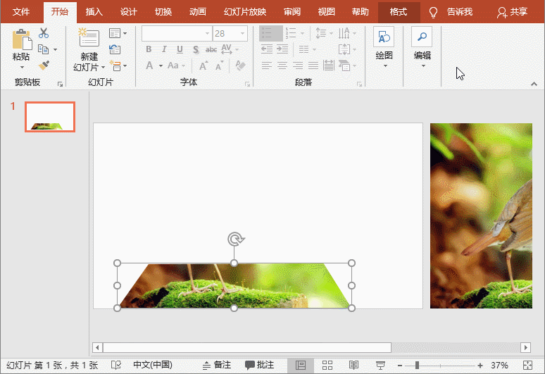 ppt图片添加边框
