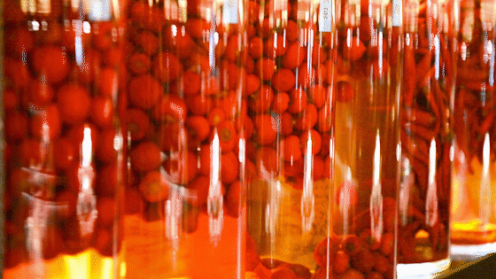 ������̲5�ţ�ħ��Zui����������꣬С��̽��ʵ�����ˣ�