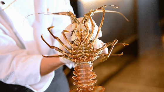 ������̲5�ţ�ħ��Zui����������꣬С��̽��ʵ�����ˣ�