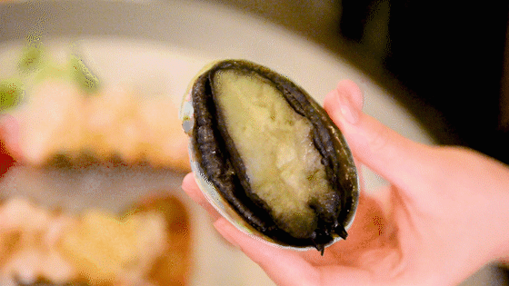 ������̲5�ţ�ħ��Zui����������꣬С��̽��ʵ�����ˣ�