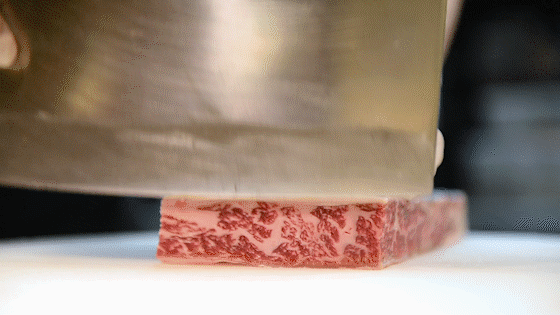 ������̲5�ţ�ħ��Zui����������꣬С��̽��ʵ�����ˣ�