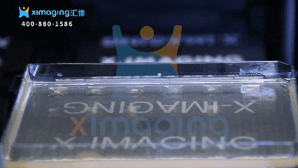 智能菌落挑選：微生物領域的無人化新引擎