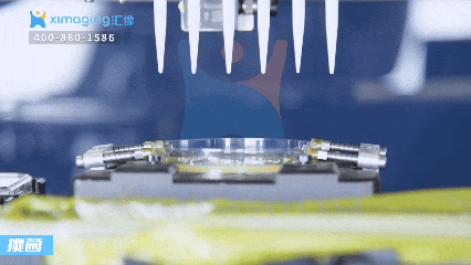 智能菌落挑選：微生物領域的無人化新引擎