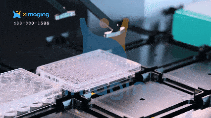 智啟方寸，靈協科研 | 匯像&ldquo;智靈者&rdquo;協作機器人開啟實驗自動化新篇