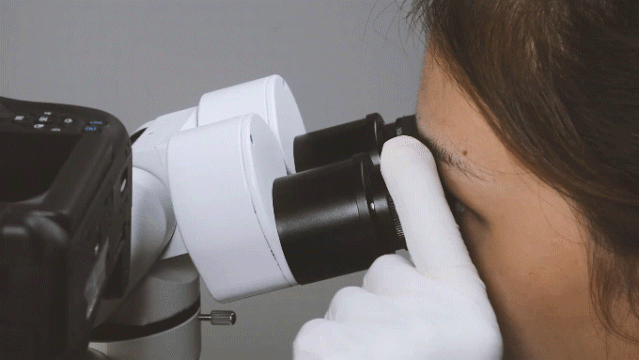 怎么调手术显微镜显微课堂｜SCM600手术显微镜清晰度调节方法_https://www.jmylbn.com_新闻资讯_第9张