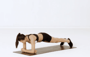 平板支撐轉(zhuǎn)體