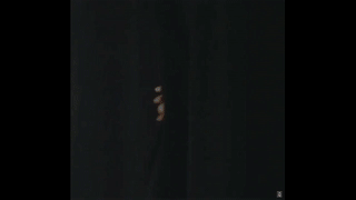 喜欢暗中观察的G胖